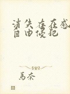 消失存在感消失自由侵犯封面