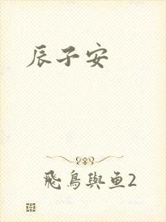 辰子安封面