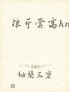 狼牙套高hnp