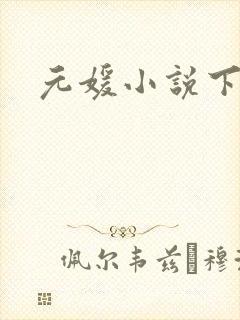 元媛小说下载封面