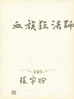 血族狂法师封面
