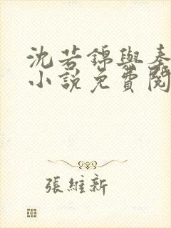 沈若锦与秦琅的小说免费阅读