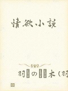 情欲小说