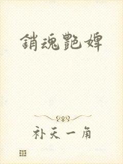 销魂艳婢封面