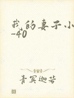 我的妻子小谨1-40封面