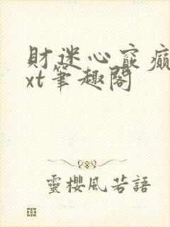 财迷心窍癫婆txt笔趣阁封面