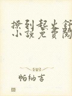 撩到起火舒漾的小说免费阅读全文封面
