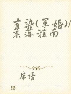 有染(军婚)/叶落淮南封面