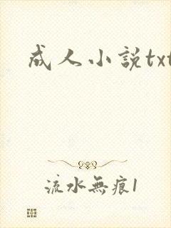 成人小说txt