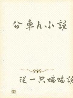公车h小说