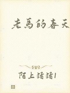 老马的春天敏静