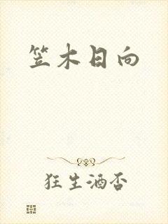 笠木日向