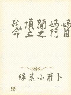 我顶开妈妈的生命上之门目录