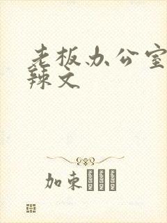 老板办公室系列辣文