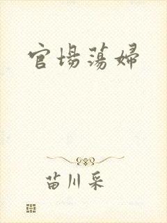 官场荡妇封面