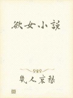 欲女小说封面