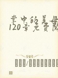 掌中的美母版主120章免费阅读封面