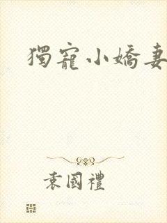 独宠小娇妻