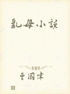 乱母小说封面
