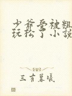 少爷受被粗汉H玩松了小说封面