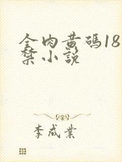 全肉黄码18无禁小说封面