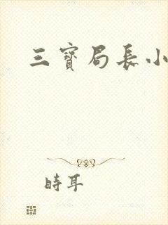 三宝局长小说