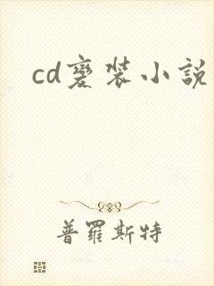 cd变装小说