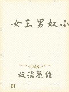 女王男奴小说