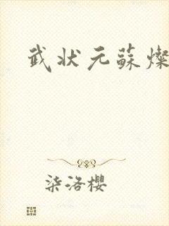武状元苏灿