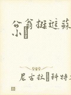 公翁挺进苏玥的小泬