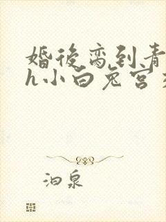 婚后脔到青梅哭h小白兔宫交h