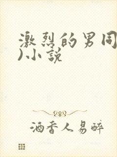 激烈的男同(h)小说