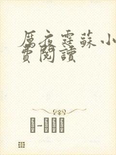 厉夜霆苏小汐免费阅读