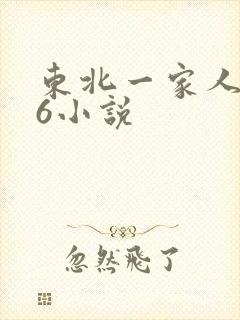 东北一家人1一6小说