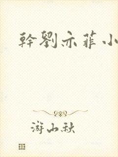 干刘亦菲小说