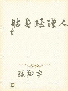 贴身经理人txt