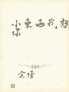 小东西我想弄坏你封面