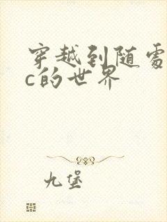 穿越到随处可以c的世界