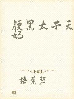 腹黑太子天降萌妃