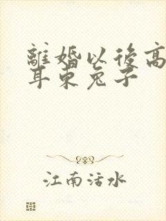 离婚以后高干 耳东兔子封面