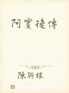 阿宾后传