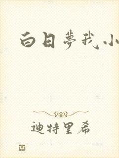 白日梦我小说