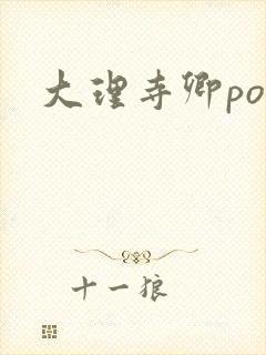 大理寺卿po