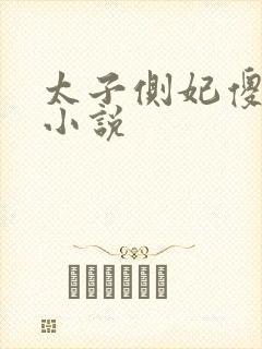 太子侧妃傻乎乎小说