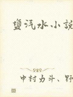 盐汽水小说