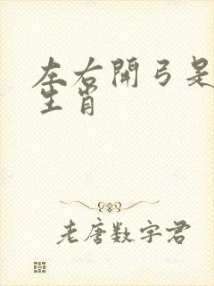 左右开弓是什么生肖