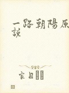 一路朝阳原著小说封面