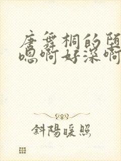 唐舞桐的堕落H嗯啊好深啊封面
