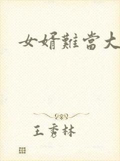 女婿难当大结局封面