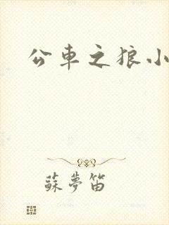 公车之狼小说